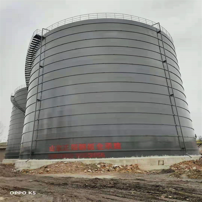 牟定3万吨大型钢板库